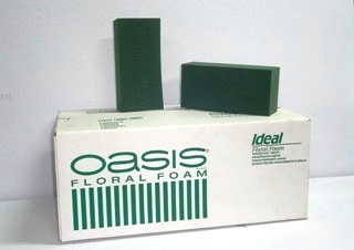 Oasis Ideal